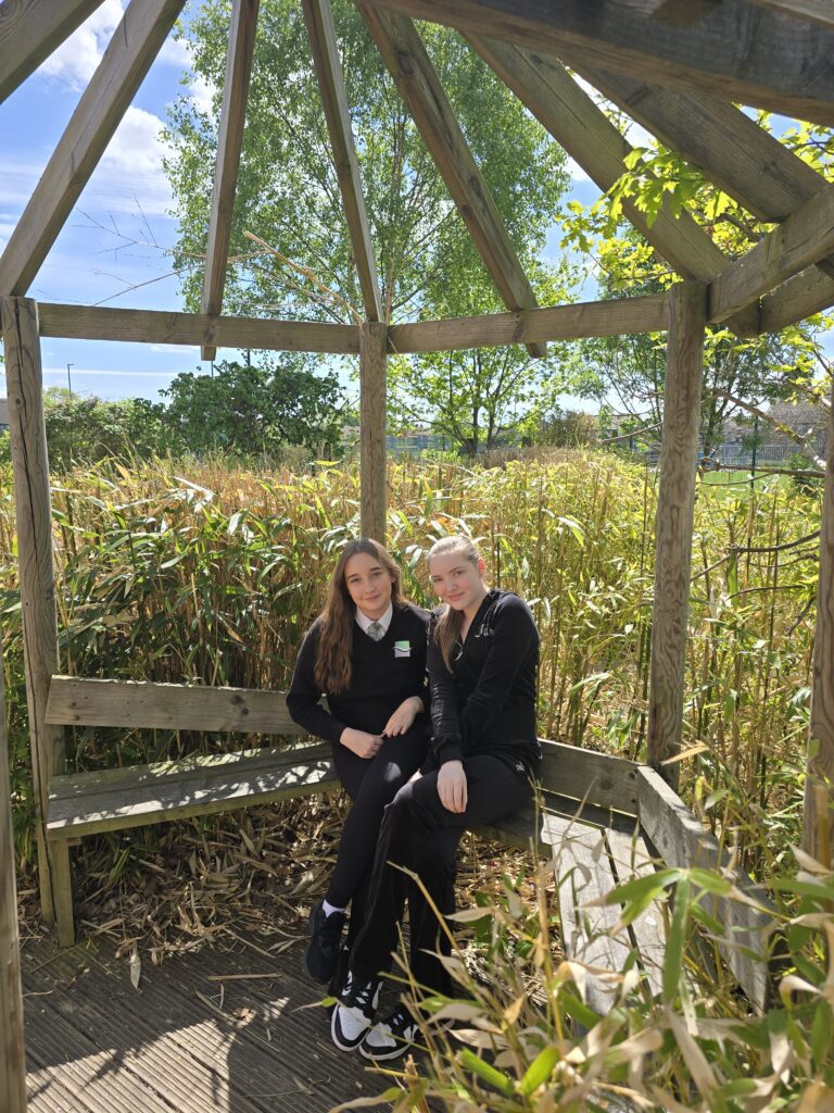 Bridge Health & Education